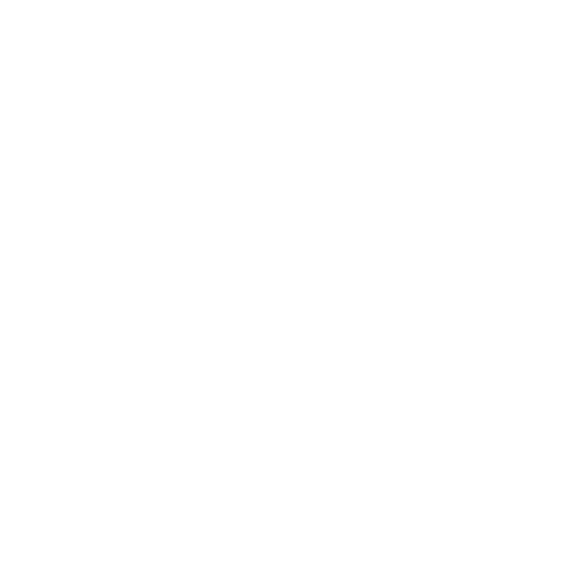 VIP Services<br><br>